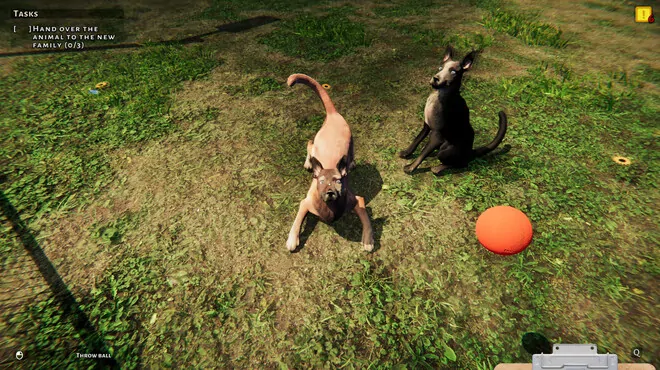 Kóstolj bele egy menhely életébe – jön az Animal Shelter Simulator