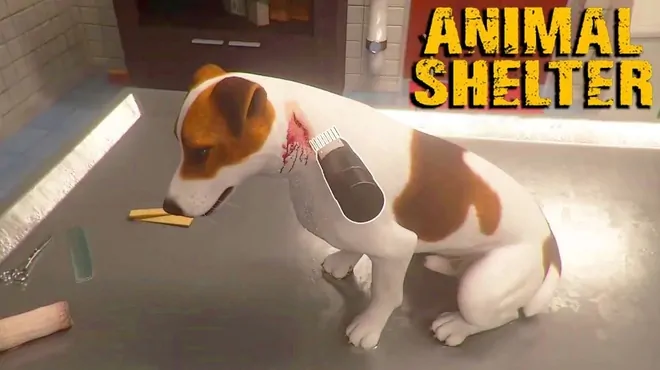 Animal Shelter teszt – Gyeptelep a város szélén